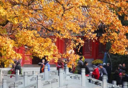 香山公園什么時(shí)候去最好  香山公園門票是多少