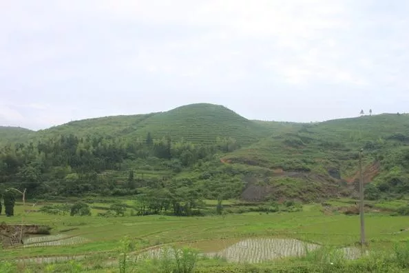 江西蓮花石門山怎么去 江西蓮花石門山自助旅游攻略