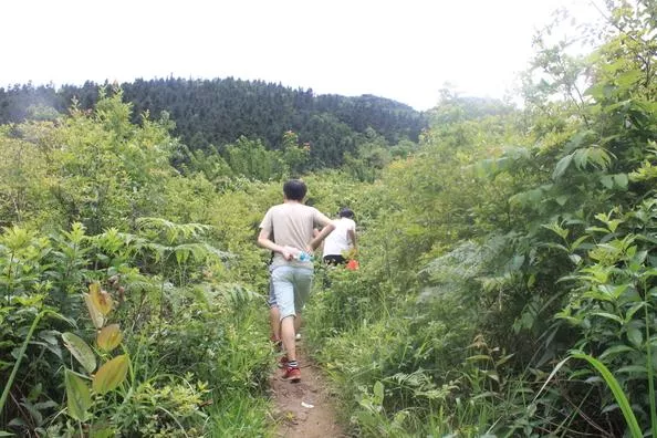 江西蓮花石門山怎么去 江西蓮花石門山自助旅游攻略