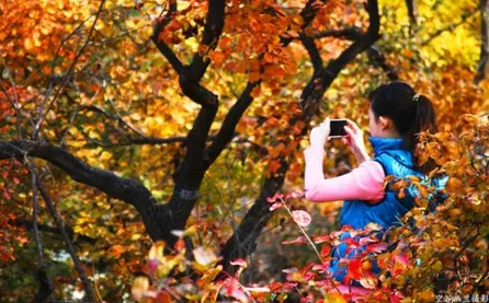 香山公園什么時(shí)候去最好  香山公園門票是多少