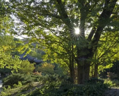 香山公園什么時(shí)候去最好  香山公園門票是多少