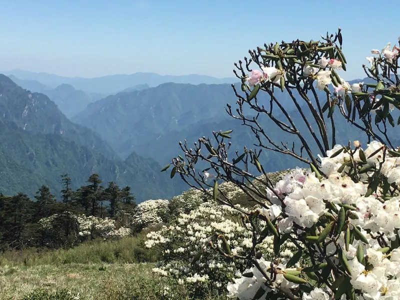 神農(nóng)架有什么好玩的地方 神農(nóng)架有野人嗎