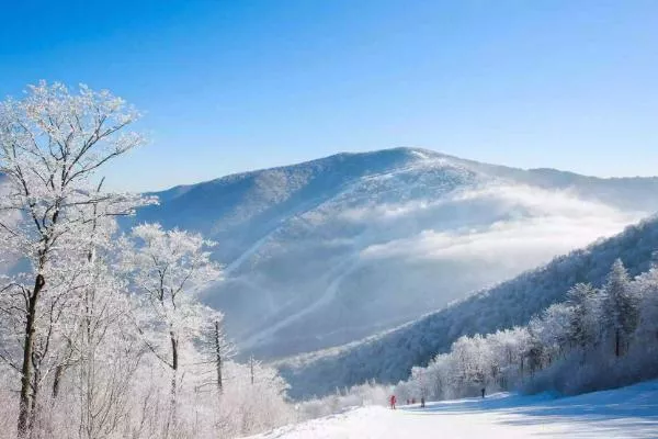 2021吉林北大湖滑雪場好玩嗎 北大湖滑雪場門票+地址信息