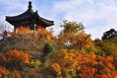 香山公園什么時(shí)候去最好  香山公園門票是多少