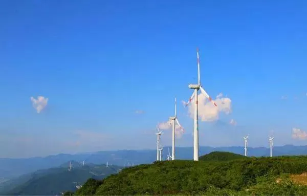 武隆區(qū)春游踏青好去處推薦 賞花、摘草莓等玩法都有哦